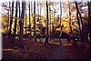 AnneBuchenwald0001.JPG