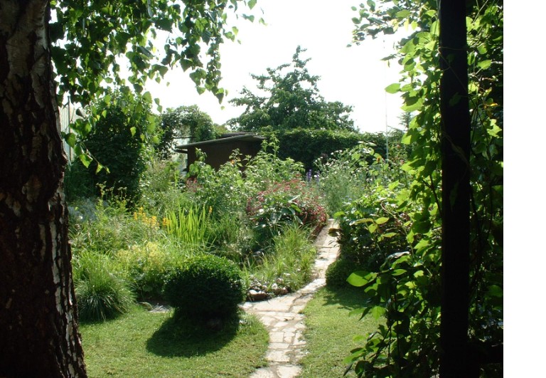 DSCF0039.jpg