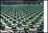DSCF0009.JPG