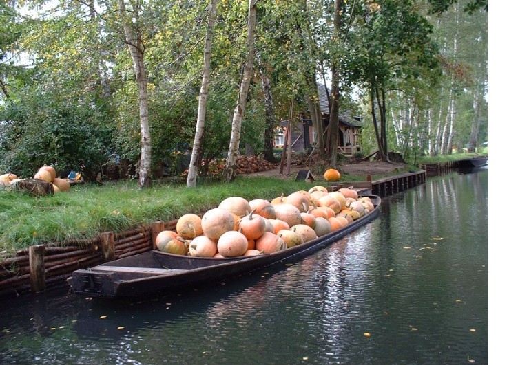 DSCF0040.jpg