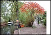 DSCF0036.jpg