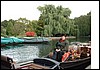 DSCF0041.jpg